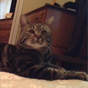 Meet your Posher, Katherine